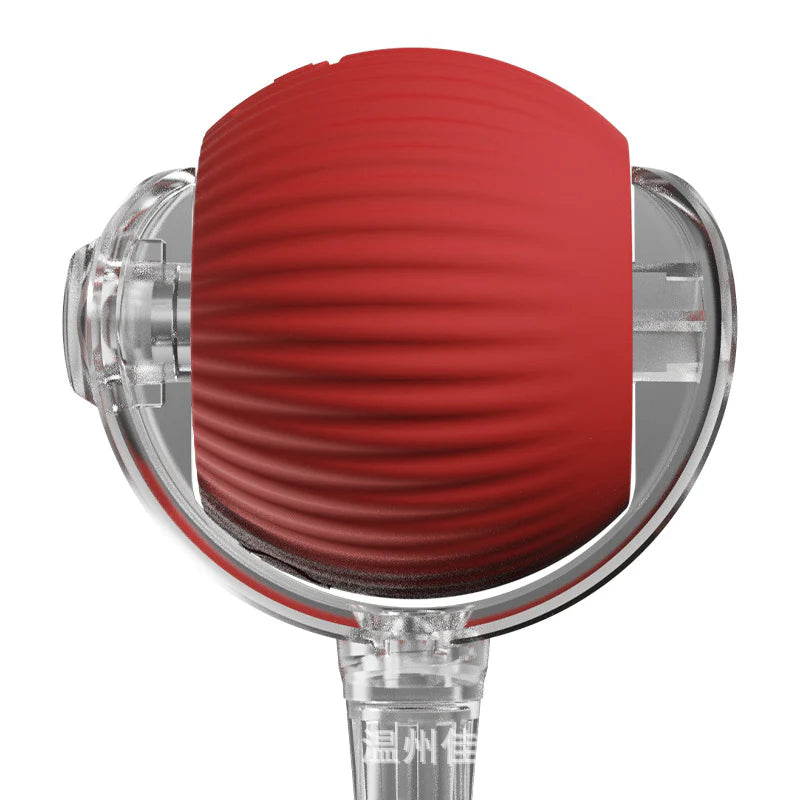 ChaseTail™ Motion Ball - 50% Off Today Only