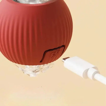 ChaseTail™ Motion Ball - 50% Off Today Only