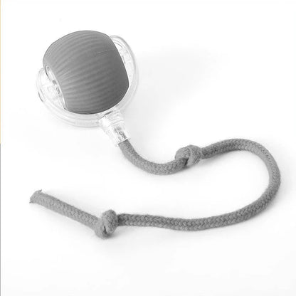 ChaseTail™ Motion Ball - 50% Off Today Only