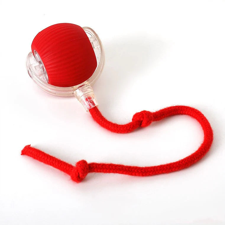 ChaseTail™ Motion Ball - 50% Off Today Only