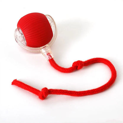 ChaseTail™ Motion Ball - 50% Off Today Only