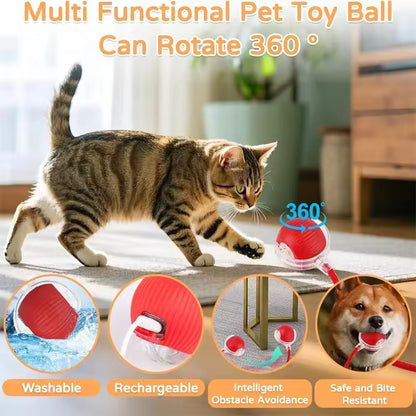 ChaseTail™ Motion Ball - 50% Off Today Only
