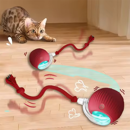 ChaseTail™ Motion Ball - 50% Off Today Only