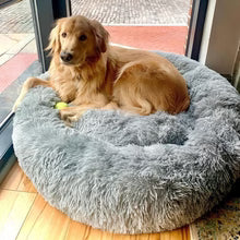 Calming Dog Bed - 50% OFF Today Only