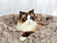Calming Dog Bed - 50% OFF Today Only