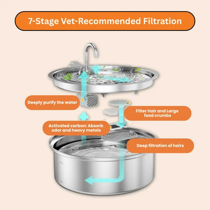 The Smart Filtered Dog Fountain