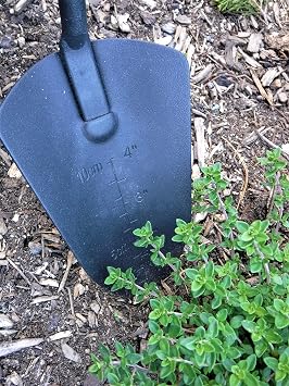🌿 Gardener's Essential Tool Set with Farmhouse Tote Bag